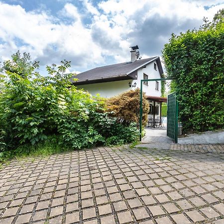 Private Summer House With Swimming Pool, Beach Bar And Pit For Football And Volleyball Hvezdonice Exterior photo