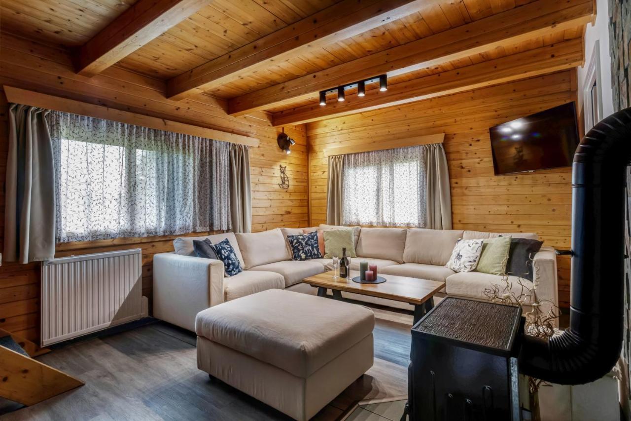 Private Summer House With Swimming Pool, Beach Bar And Pit For Football And Volleyball Hvezdonice Exterior photo